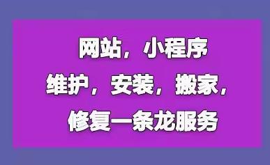 确保网站持续优化与稳定运行