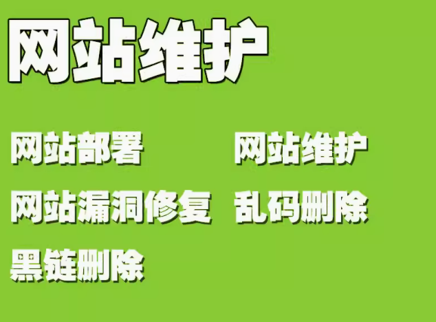 专业网站运维 保障网站稳定与安全