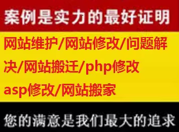 专业服务支持提升网站收入的多维度策略