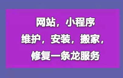 专业网站与小程序维护 注入稳定力量